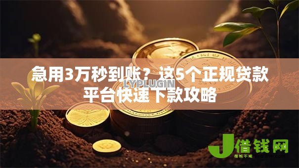 急用3万秒到账?这5个正规贷款平台快速下款攻略 急用3万秒到账?这5个正规贷款平台快速下款攻略