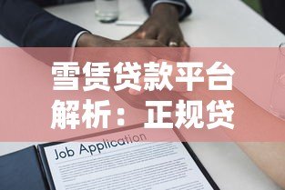 雪赁贷款平台解析:正规贷款服务与申请指南 雪赁贷款平台解析:正规贷款服务与申请指南