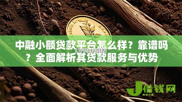 中融小额贷款平台怎么样?靠谱吗?全面解析其贷款服务与优势 中融小额贷款平台怎么样?靠谱吗?全面解析其贷款服务与优势