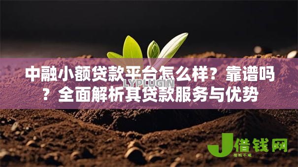 中融小额贷款平台怎么样?靠谱吗?全面解析其贷款服务与优势 中融小额贷款平台怎么样?靠谱吗?全面解析其贷款服务与优势