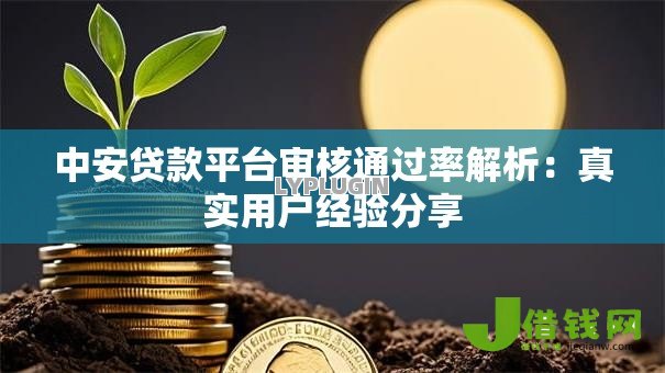 中安贷款平台审核通过率解析：真实用户经验分享