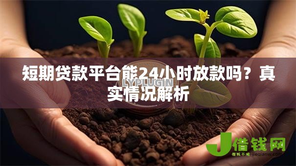 短期贷款平台能24小时放款吗?真实情况解析 短期贷款平台能24小时放款吗?真实情况解析