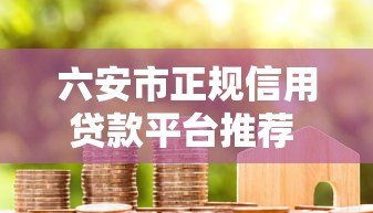 六安市正规信用贷款平台推荐  低利率快速放款攻略