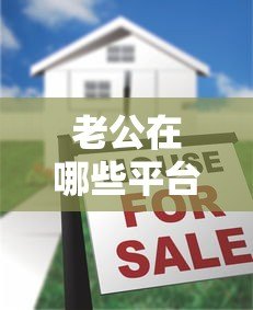 老公在哪些平台贷款?5种真实查询方法及注意事项 老公在哪些平台贷款?5种真实查询方法及注意事项