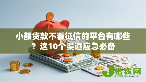 小额贷款不看征信的平台有哪些?这10个渠道应急必备 小额贷款不看征信的平台有哪些?这10个渠道应急必备