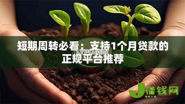 短期周转必看：支持1个月贷款的正规平台推荐