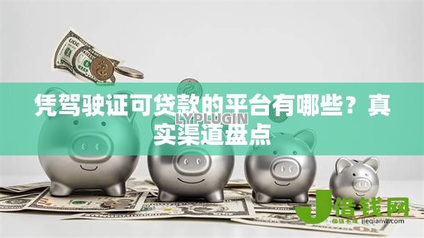 凭驾驶证可贷款的平台有哪些？真实渠道盘点