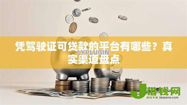 凭驾驶证可贷款的平台有哪些？真实渠道盘点