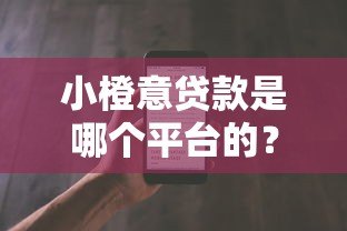 小橙意贷款是哪个平台的？全面解析产品背景与使用攻略