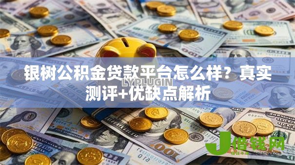 银树公积金贷款平台怎么样？真实测评+优缺点解析