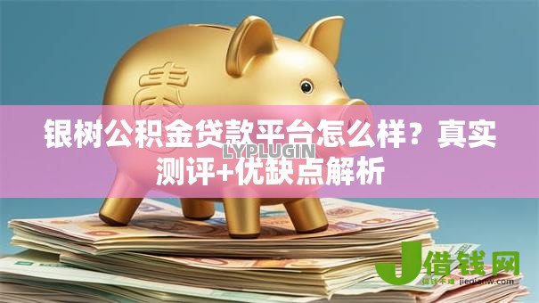 银树公积金贷款平台怎么样？真实测评+优缺点解析