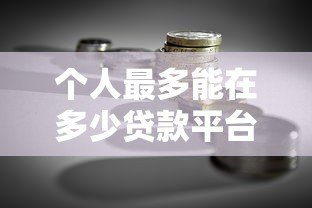 个人最多能在多少贷款平台借款?关键风险与建议解析 个人最多能在多少贷款平台借款?关键风险与建议解析