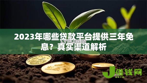 2023年哪些贷款平台提供三年免息?真实渠道解析 2023年哪些贷款平台提供三年免息?真实渠道解析