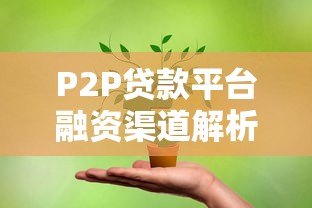 P2P贷款平台融资渠道解析:优势、风险与选择策略 P2P贷款平台融资渠道解析:优势、风险与选择策略