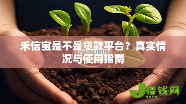 禾信宝是不是贷款平台?真实情况与使用指南 禾信宝是不是贷款平台?真实情况与使用指南