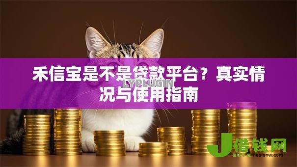 禾信宝是不是贷款平台?真实情况与使用指南 禾信宝是不是贷款平台?真实情况与使用指南