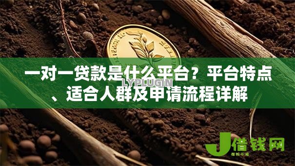 一对一贷款是什么平台?平台特点、适合人群及申请流程详解 一对一贷款是什么平台?平台特点、适合人群及申请流程详解