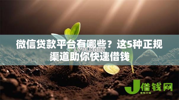 微信贷款平台有哪些？这5种正规渠道助你快速借钱