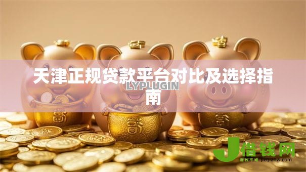天津正规贷款平台对比及选择指南
