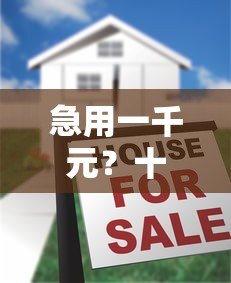 急用一千元?十大靠谱小额贷款平台推荐及申请指南 急用一千元?十大靠谱小额贷款平台推荐及申请指南