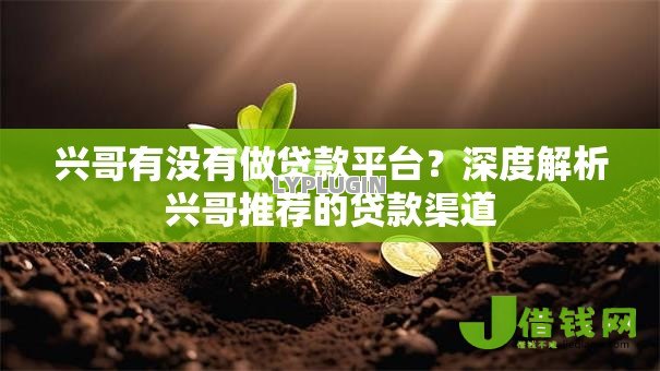兴哥有没有做贷款平台？深度解析兴哥推荐的贷款渠道