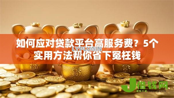 如何应对贷款平台高服务费?5个实用方法帮你省下冤枉钱 如何应对贷款平台高服务费?5个实用方法帮你省下冤枉钱