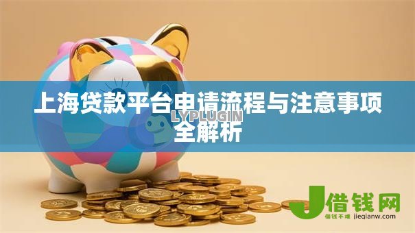 上海贷款平台申请流程与注意事项全解析 上海贷款平台申请流程与注意事项全解析