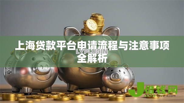 上海贷款平台申请流程与注意事项全解析 上海贷款平台申请流程与注意事项全解析