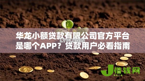 华龙小额贷款有限公司官方平台是哪个APP?贷款用户必看指南 华龙小额贷款有限公司官方平台是哪个APP?贷款用户必看指南