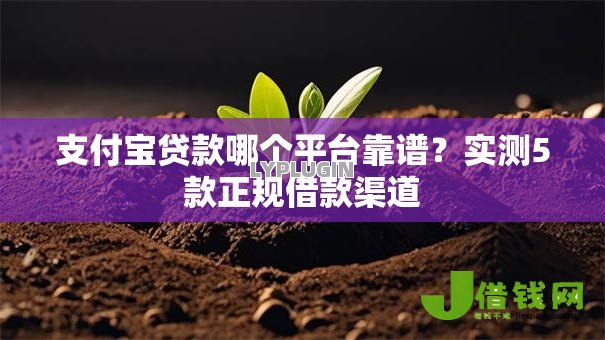 支付宝贷款哪个平台靠谱？实测5款正规借款渠道