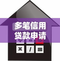 多笔信用贷款申请攻略：如何高效操作与风险控制