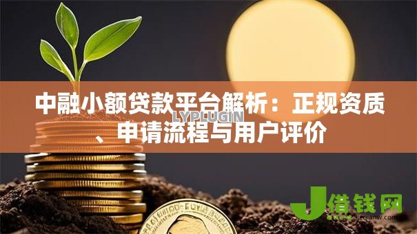 中融小额贷款平台解析：正规资质、申请流程与用户评价