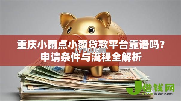 重庆小雨点小额贷款平台靠谱吗？申请条件与流程全解析