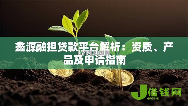 鑫源融担贷款平台解析:资质、产品及申请指南 鑫源融担贷款平台解析:资质、产品及申请指南