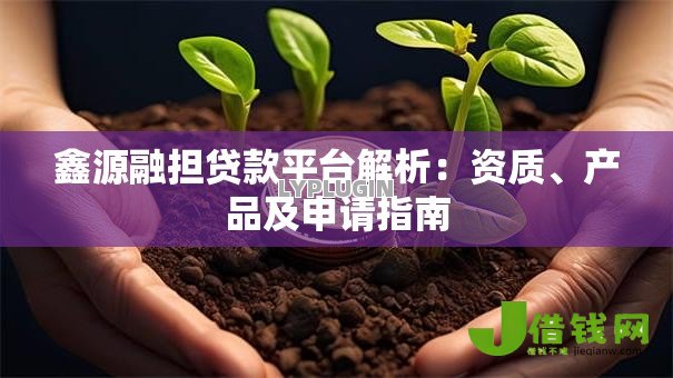 鑫源融担贷款平台解析:资质、产品及申请指南 鑫源融担贷款平台解析:资质、产品及申请指南