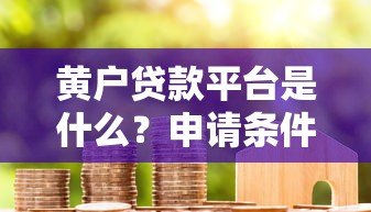 黄户贷款平台是什么?申请条件、风险及正规渠道解析 黄户贷款平台是什么?申请条件、风险及正规渠道解析