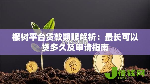 银树平台贷款期限解析：最长可以贷多久及申请指南