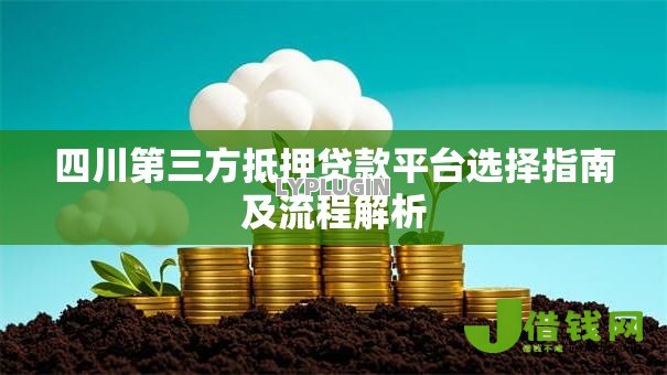 四川第三方抵押贷款平台选择指南及流程解析 四川第三方抵押贷款平台选择指南及流程解析