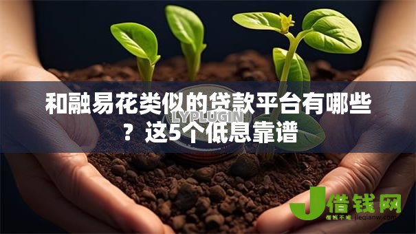 和融易花类似的贷款平台有哪些？这5个低息靠谱