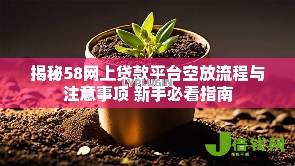 揭秘58网上贷款平台空放流程与注意事项 新手必看指南