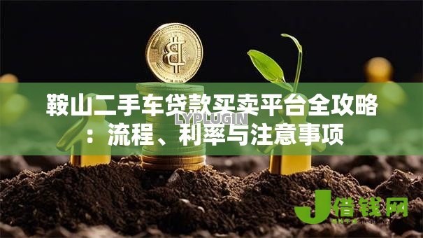 鞍山二手车贷款买卖平台全攻略：流程、利率与注意事项