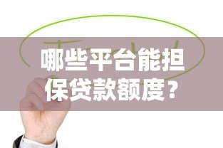 哪些平台能担保贷款额度？这6类机构值得关注