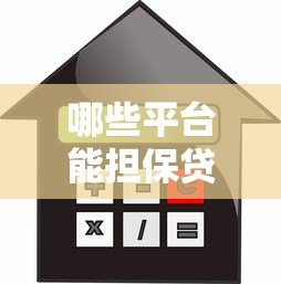 哪些平台能担保贷款额度？这6类机构值得关注