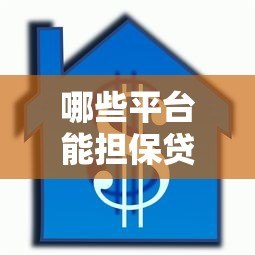 哪些平台能担保贷款额度？这6类机构值得关注