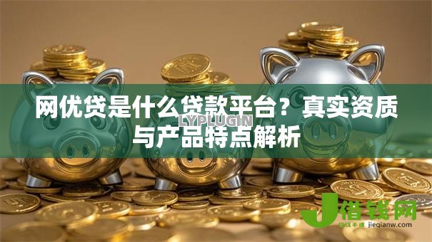 网优贷是什么贷款平台？真实资质与产品特点解析