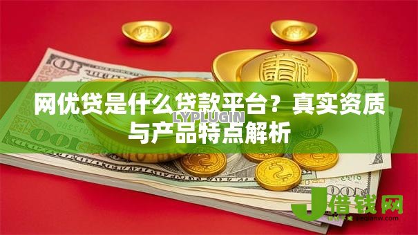 网优贷是什么贷款平台？真实资质与产品特点解析