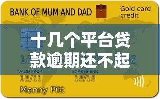 十几个平台贷款逾期还不起?自救指南与应对策略 十几个平台贷款逾期还不起?自救指南与应对策略