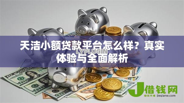 天洁小额贷款平台怎么样？真实体验与全面解析