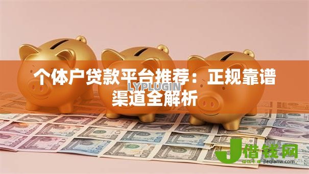 个体户贷款平台推荐：正规靠谱渠道全解析