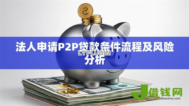 法人申请P2P贷款条件流程及风险分析 法人申请P2P贷款条件流程及风险分析
